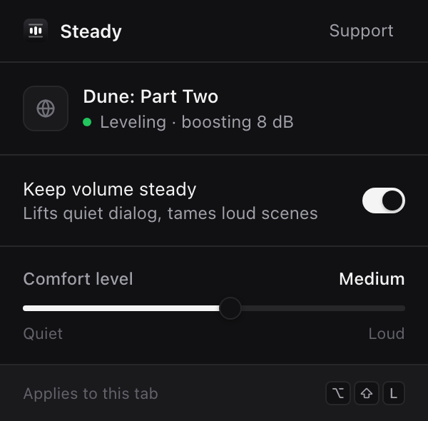 Steady popup on a Netflix tab: status 'Leveling · boosting 8 dB', comfort level Medium.